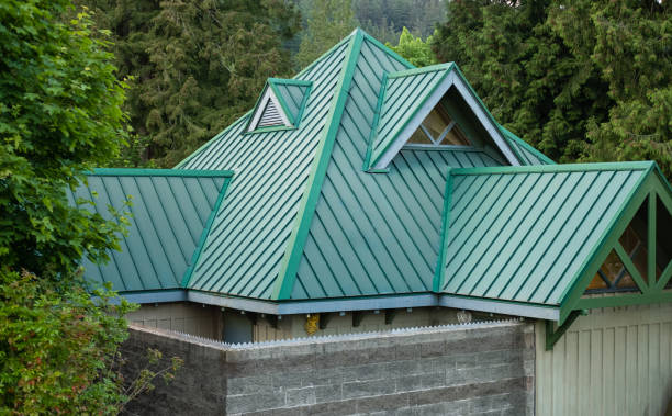 Best Skylight Installation and Repair  in Val Verde, CA