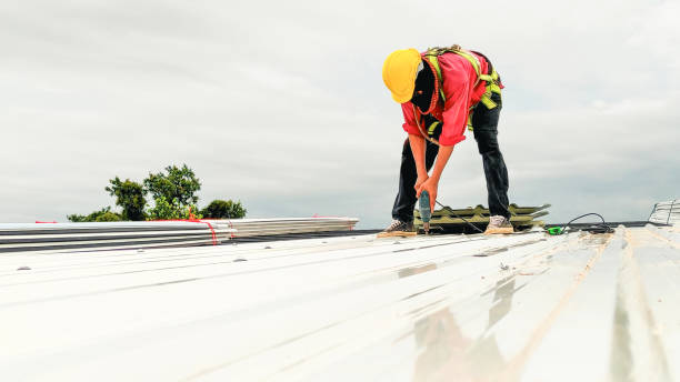 Best Roof Maintenance and Cleaning  in Val Verde, CA